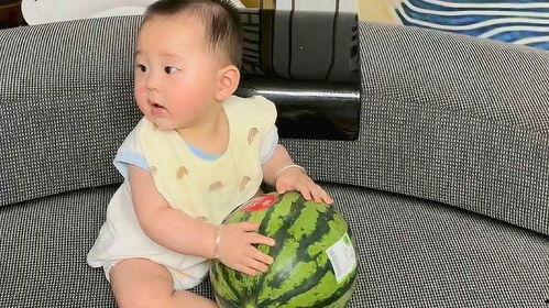 吃瓜的宝宝,揭秘娱乐圈那些事儿